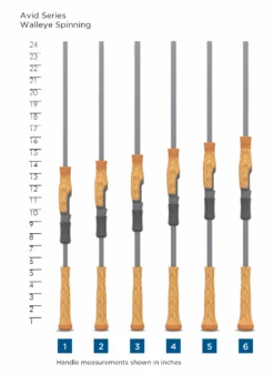 AVID SERIES WALLEYE SPINNING 7 AVID SERIES WALLEYE SPINNING -St. Croix SCR HandleChart AvidSeriesWalleyeSpinning